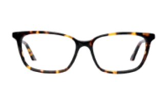 Pierre Cardin Tortoise Glow Frame