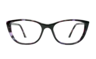 ACETATE LADIES