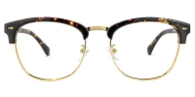 Lasha Browline Gold Glasses